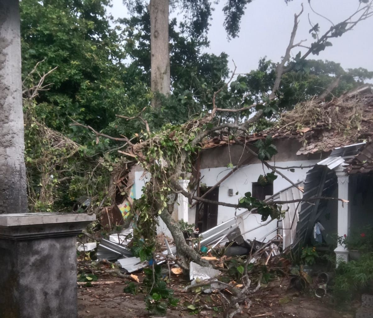 Kondisi rumah yang tertimpa pohon tumbang di Desa Gombang, Kecamatan Sawit, Boyolali, Senin (10/11/2025).