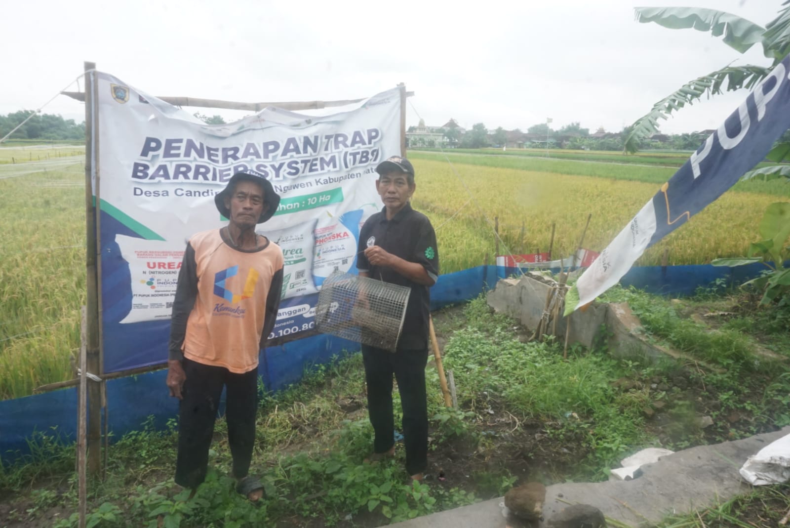 Petani menunjukan penggunaan Trap Barrier System (TBS) dan perangkap yang dipasang pada lahan sawahnya di Desa Candirejo, Kecamatan Ngawen, Klaten