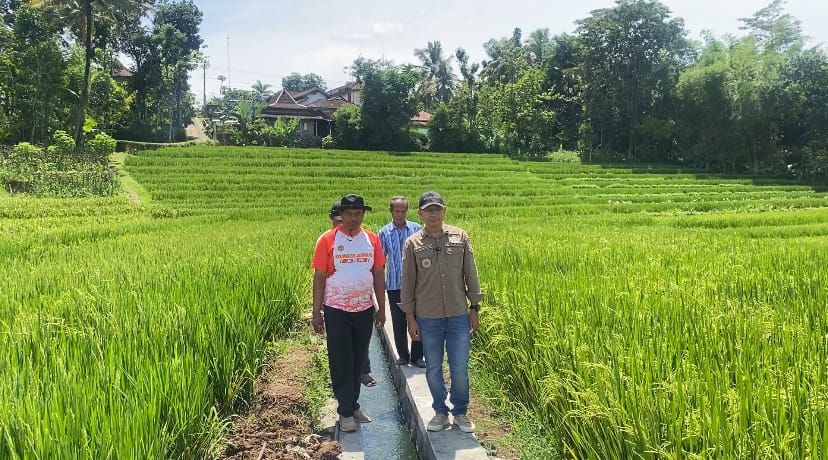 Camat Jatipurno Nur Dhana Setiawan bersama jajaran meninjau hasil P3-TGAI di wilayah Kelurahan/Kecamatan Jatipurno baru-baru ini.