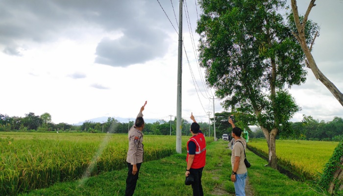 Kabel listrik PLN di wilayah Masaran, Sragen yang dicuri. (Ahmad Khairudin/Radar Solo)