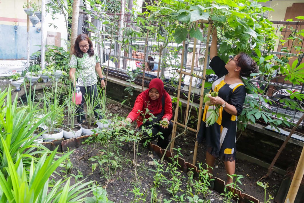 Aktivitas berkebun Kelompok Wanita Tani Sedah Merekah Dariningsih, Kelurahan Panularan.