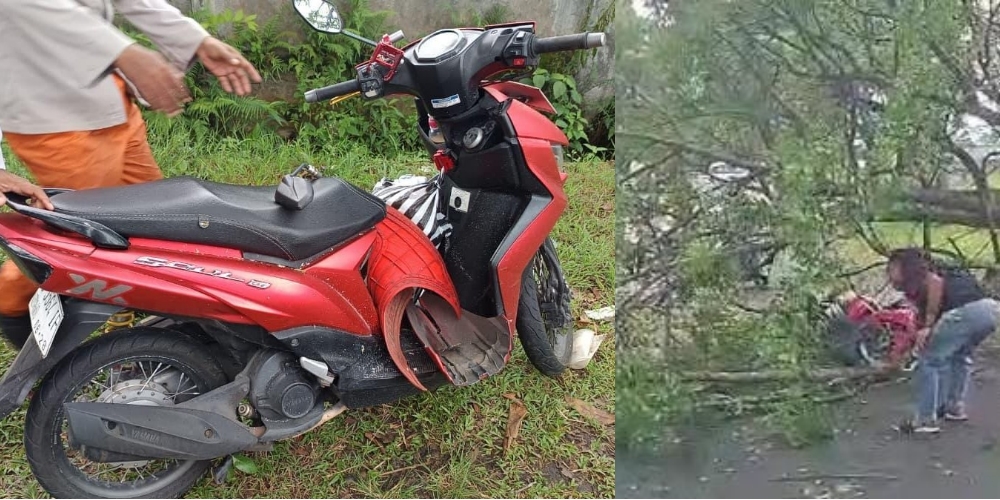 Sepeda motor yang tertimpa pohon tumbang di Popongan, Karanganyar, Senin (24/11/2025) mengalami kerusakan. Beruntung pengendaranya hanya shock.