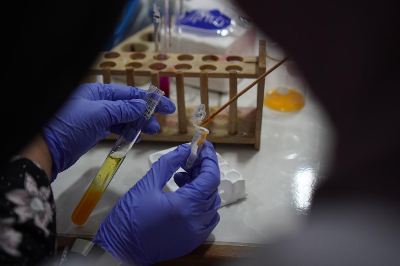 Praktik ekstraksi DNA dalam workshop series bagi guru biologi di UMS, belum lama ini.