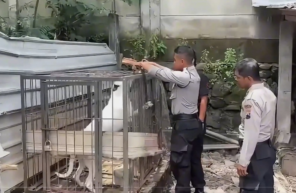 Tim Quick Respon Piket Pamapta Polres Sukoharjo tangani anjing yang agresif di Trangsan, Gatak, Sukoharjo, Sabtu (29/11/2025).