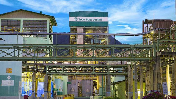 Siapa Pemilik PT Toba Pulp Lestari? Profil Lengkap Perusahaan Pulp Bersejarah di Sumatera Utara