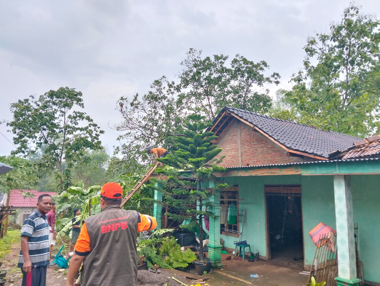 Kepala Pelaksana BPBD Wonogiri memantau dampak angin kencang di Desa Ngadirojo Kidul Kecamatan Ngadirojo.
