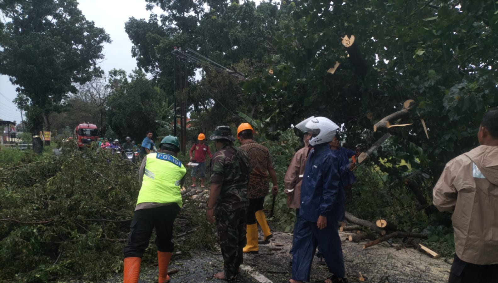 Penanganan pohon tumbang di ruas Jalan Juwiring-Wonosari, Desa Juwiring, Kecamatan Juwiring, Klaten. (Dokumentasi Polres Klaten)