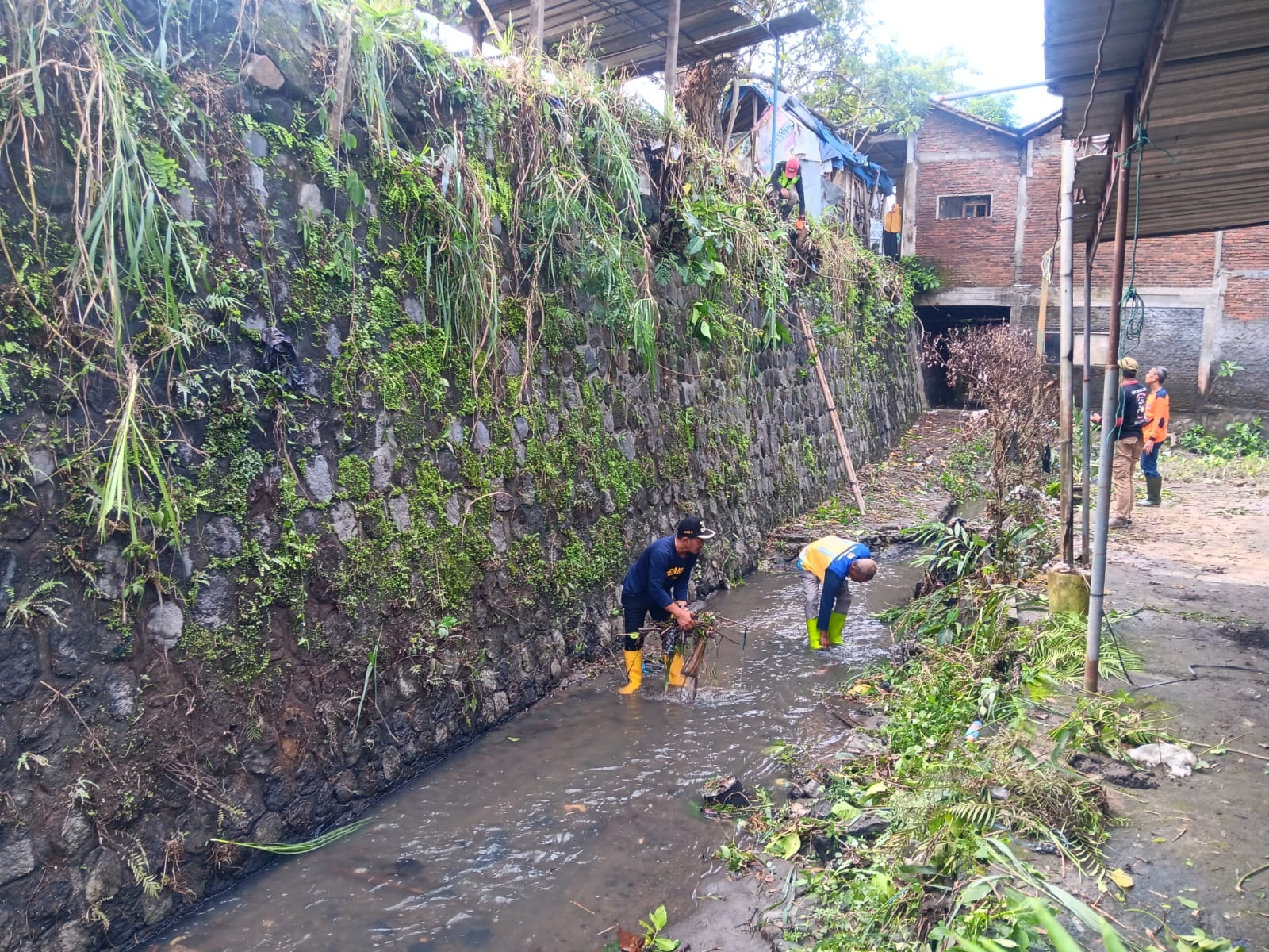 KOMPAK: Kegiatan gotong royong pembersihan sungai di Dusun Klitak, Desa Banaran, Kecamatan Delanggu, Klaten.