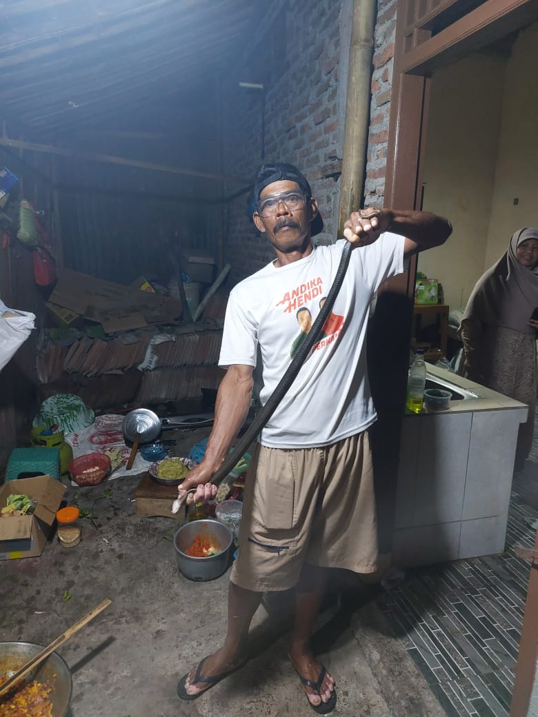 Relawan saat menunjukan ular kobra yang berhasil dievakuasi di Desa Baran, Kecamatan Cawas, Klaten. (Dokumentasi Tim Exalos Indonesia Regional Klaten)