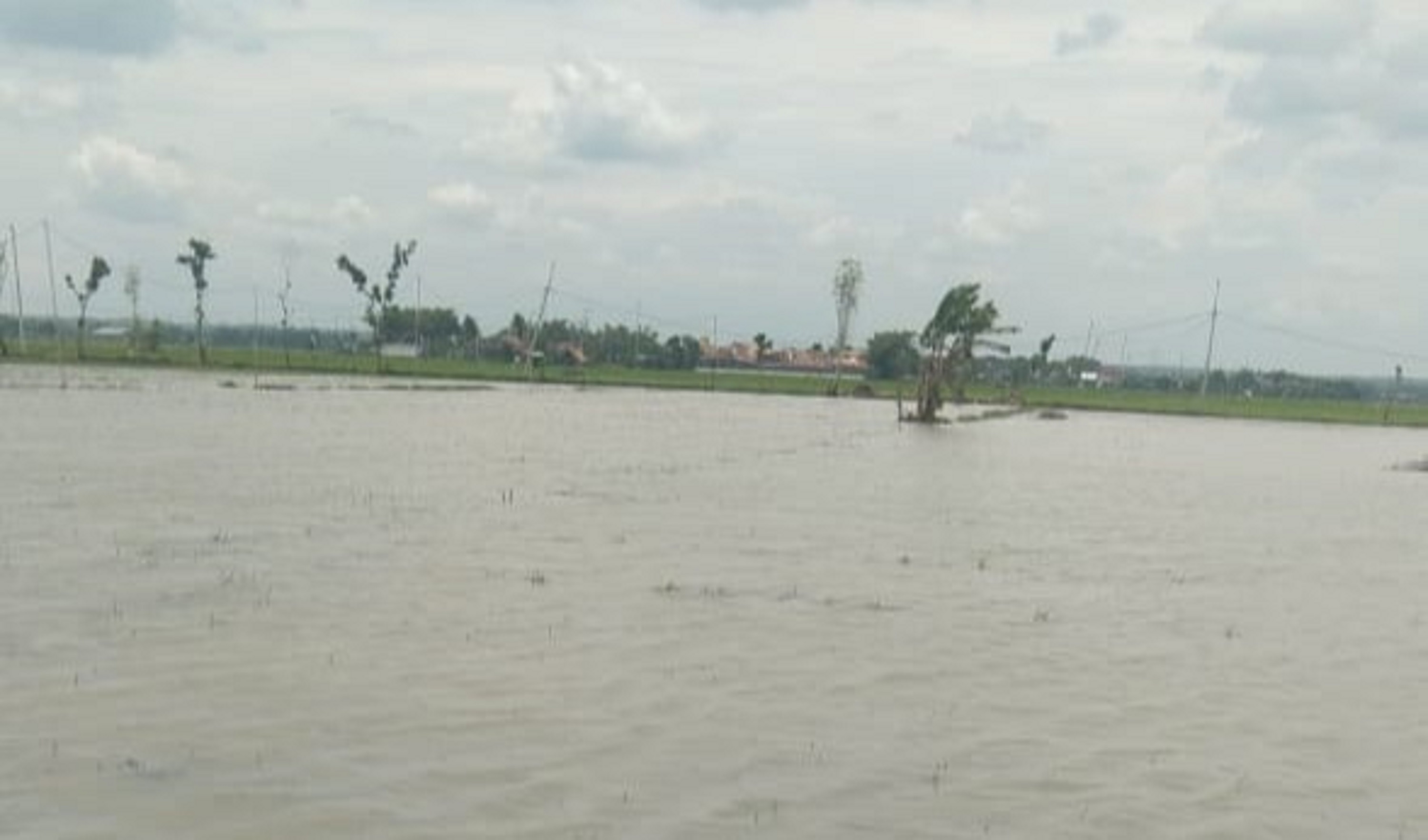 Kondisi persawahan Desa Jono, Kecamatan Tanon, Sragen yang terendam. (Ahmad Khairudin/Radar Solo)