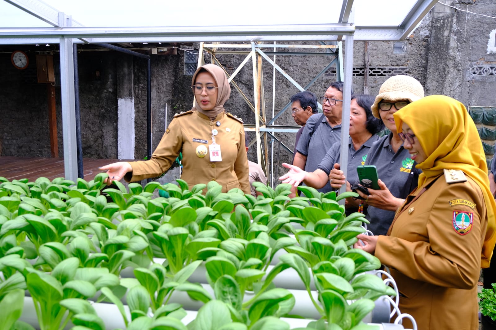 MENGECEK: Wakil Wali Kota Solo Astrid Widayani saat mengunjungi budi daya yang dibuat Kelompok Tani Sumber Martani di Kelurahan Sumber, Banjarsari, Senin (8/12) sore