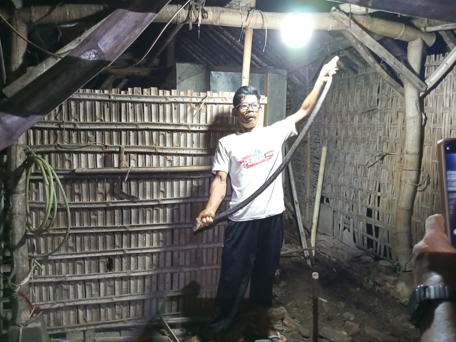 Tim Exalos Indonesia Regional Klaten memperlihatkan ular yang dievakuasi dari bawah lantai rumah di Dusun Gebang, Barepan, Cawas, Klaten. (Dokumentasi Tim Exalos Indonesia Regional Klaten)