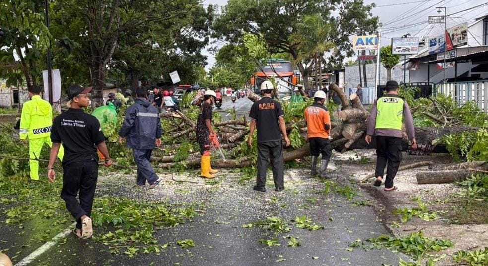 Pohon tumbang di jalan Solo-Tawangmangu, Kelurahan Popongan, Kecamatan Karanganyar, Minggu (14/12/2025). (Rudi Hartono/Radar Solo)