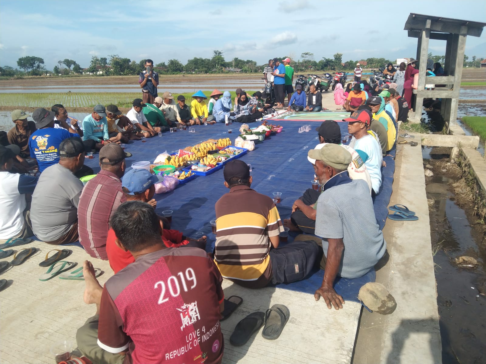 Tradisi wiwitan sebagai penanda dimulainya Masa Tanam 1 (MT 1) di hamparan sawah Kelompok Tani Puspito Tani, tepatnya di belakang Balai Desa Mulur, Rabu (17/12).
