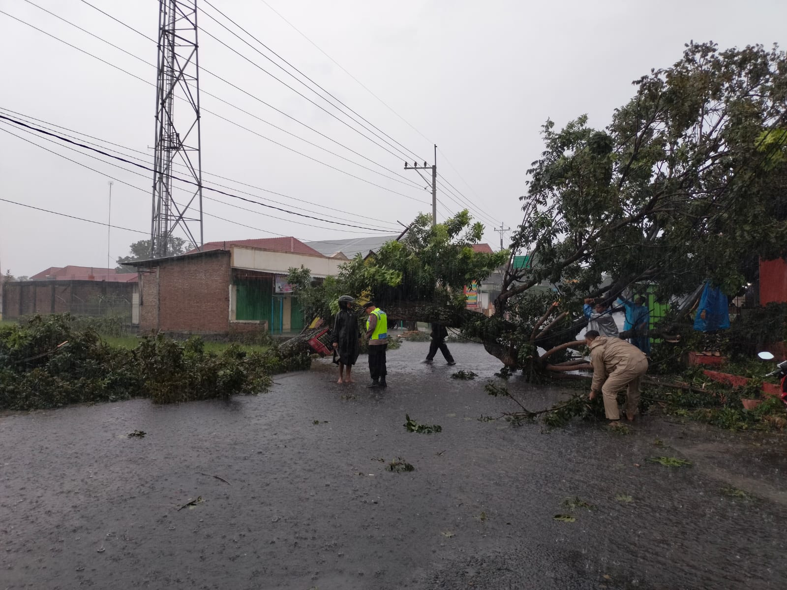 Anggota Polres Klaten mengevakuasi pohon tumbang di Juwiring, Klaten, Minggu (21/12/2025) sore. (Dokumentasi Polres Klaten)