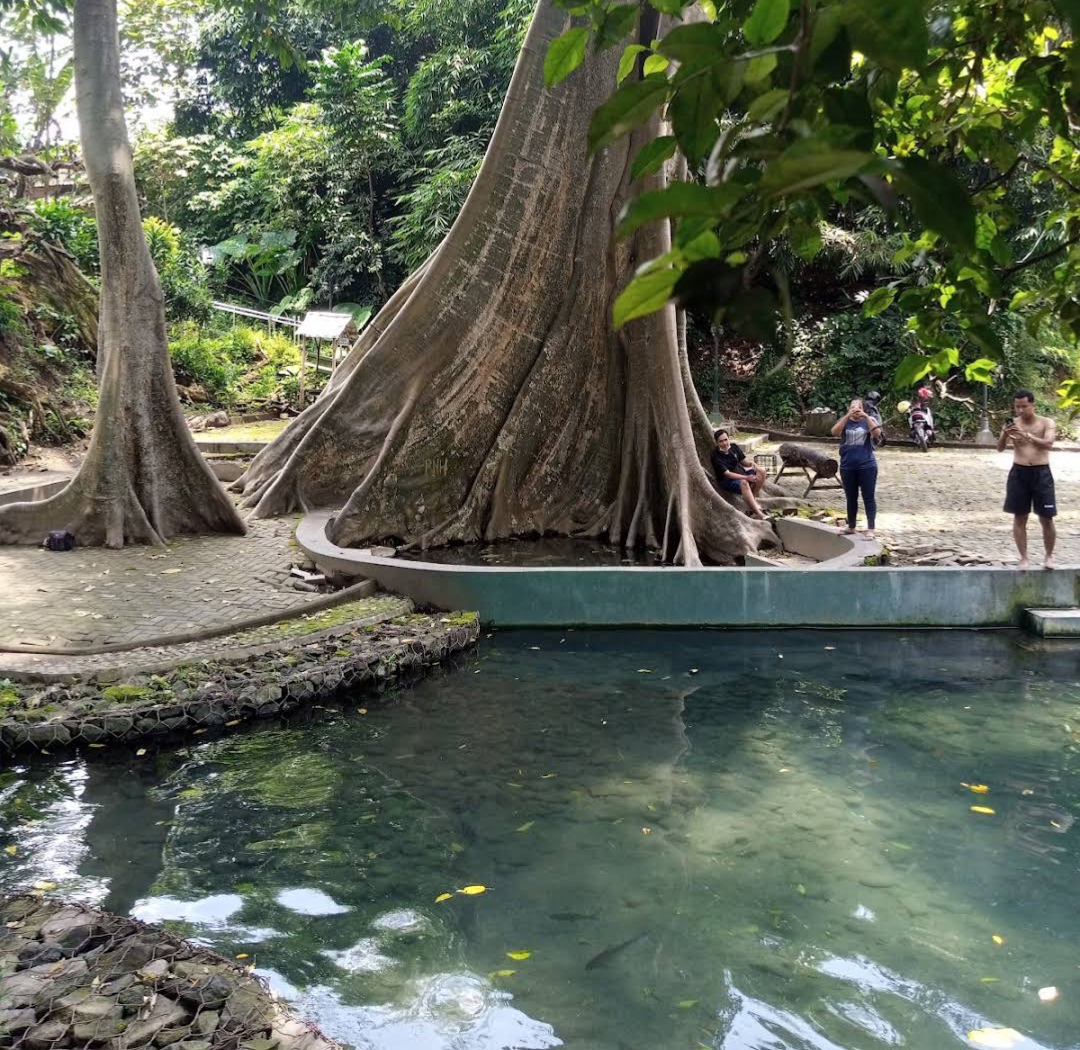 Umbul Leses, mata air gratis di Pengging yang masih alami