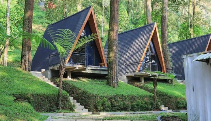 Tenggir Glamping