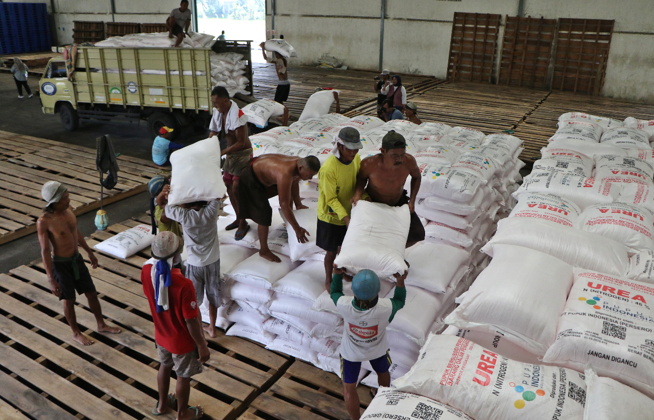 HARUS TEPAT SASARAN: Pekerja bersiap mengirim pupuk bersubsidi di gudang pupuk Kecamatan Ceper, kemarin (24/12).