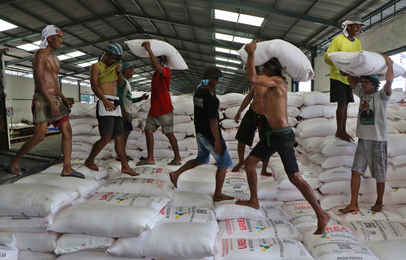 HARUS TEPAT SASARAN: Pekerja bersiap mengirim pupuk bersubsidi di gudang pupuk Kecamatan Ceper, kemarin (24/12).