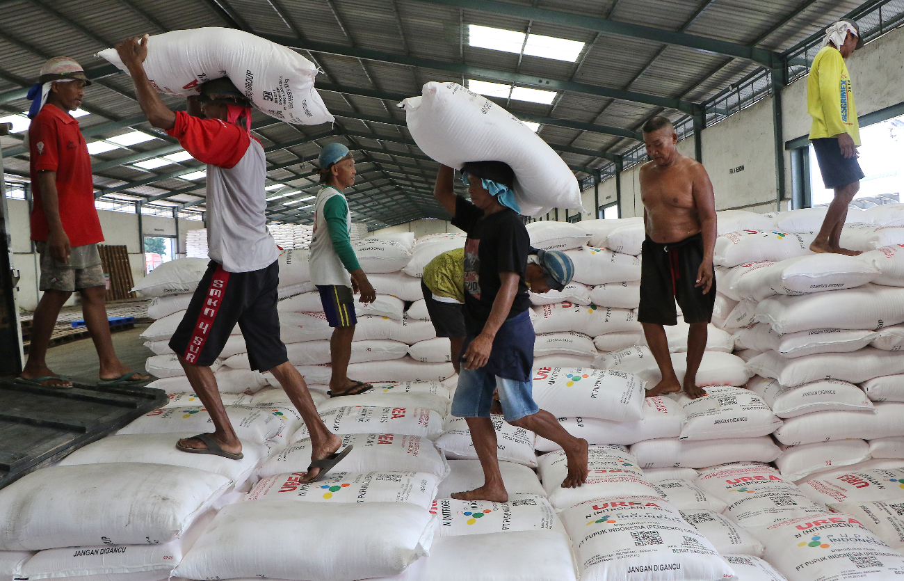 HARUS TEPAT SASARAN: Pekerja bersiap mengirim pupuk bersubsidi di gudang pupuk Kecamatan Ceper, kemarin (24/12).