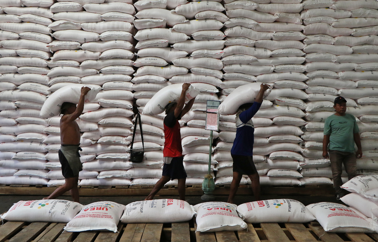 HARUS TEPAT SASARAN: Pekerja bersiap mengirim pupuk bersubsidi di gudang pupuk Kecamatan Ceper, kemarin (24/12).