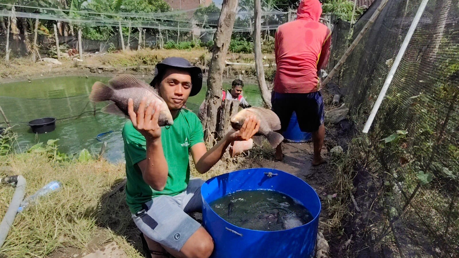 Petani tambak di Bangak, Kecamatan Banyudono, Boyolali panen ikan. (M Khofid/Radar Solo)