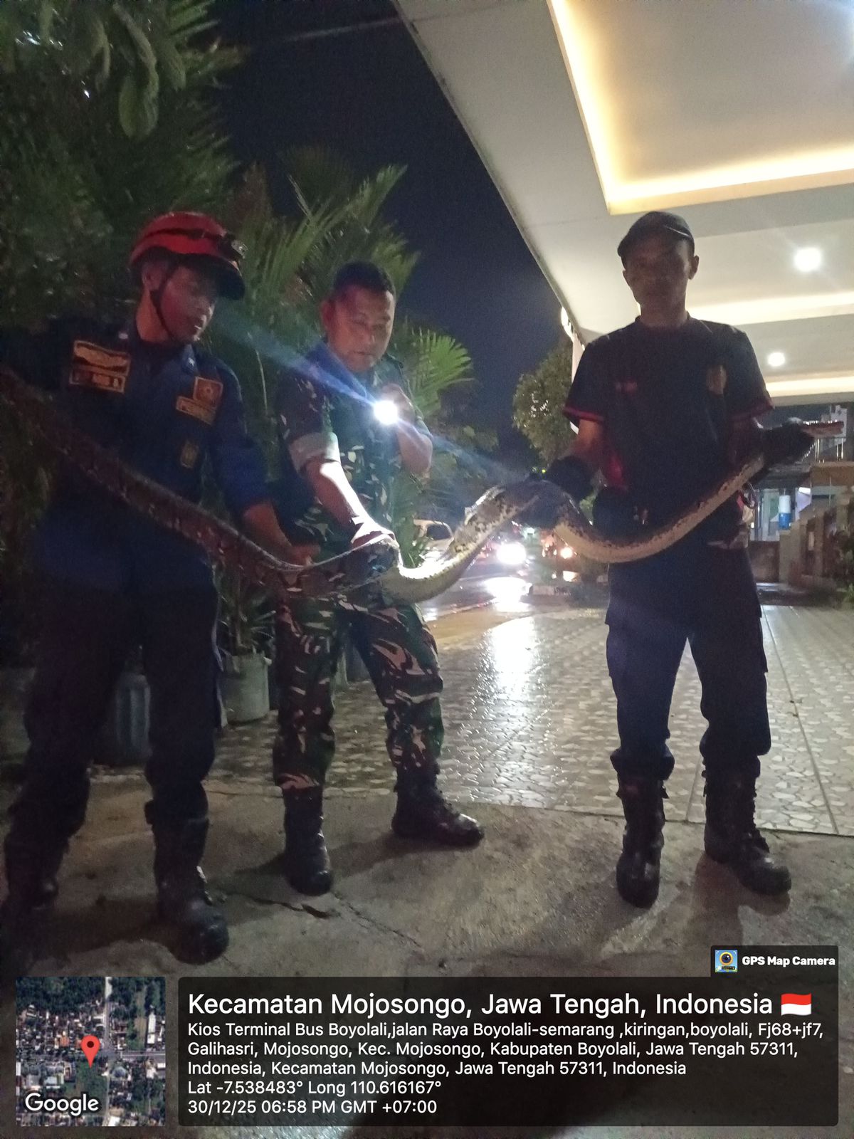 Ular python yang berhasil diamankan di sekitar Pospam Kodim Boyolali, Selasa(30/12/2025).