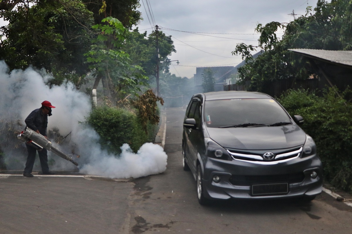 Pengasapan (fogging) dinilai hanya bersifat sementara karena hanya membunuh nyamuk dewasa dan tidak mematikan jentik.