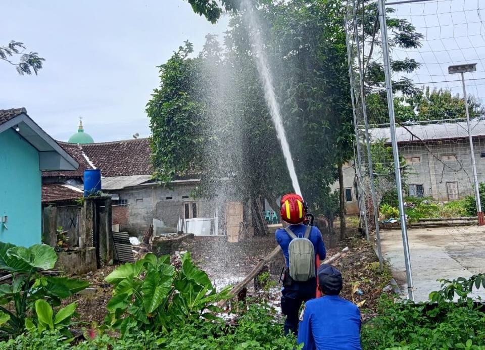 Damkar Karanganyar membasmi sarang tawon vespa yang membahayakan masyarakat. (Rudi Hartono/Radar Solo)