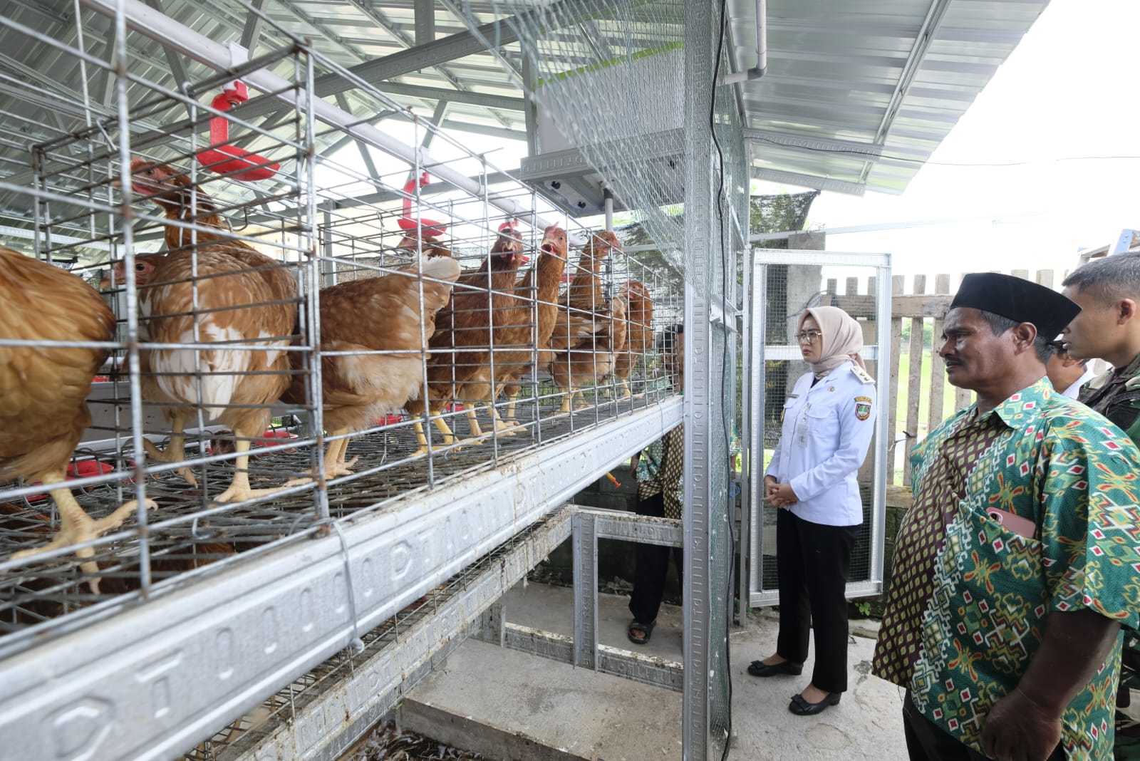 TURUN KE LAPANGAN: Wawali Astrid Widayani melihat peternakan ayam di Kelurahan Banyuanyar, Kecamatan Banjarsari,&nbsp;Rabu (7/1/2026).