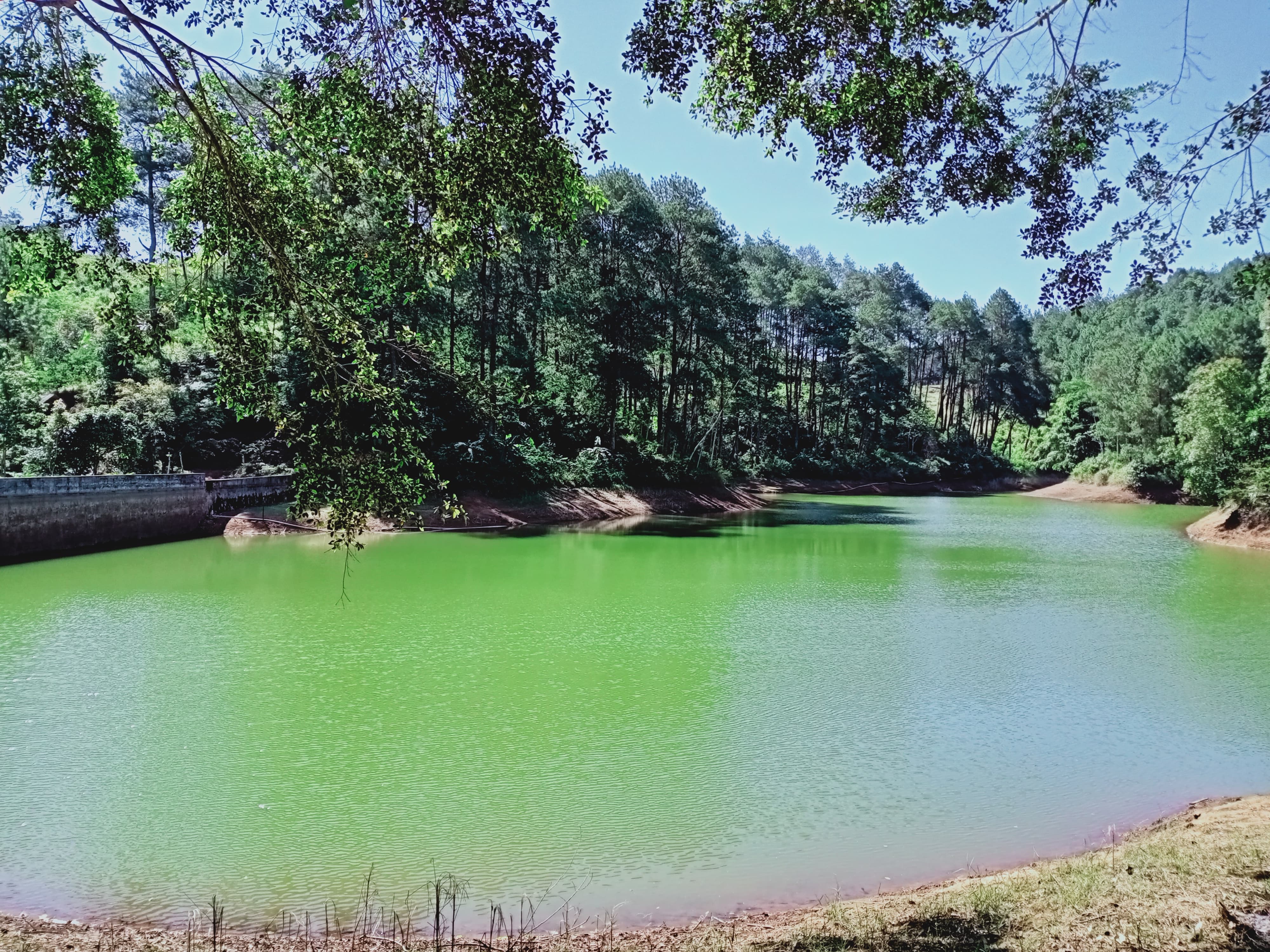 Waduk Blumbang di Kecamatan Karangtengah, Wonogiri dengan warna air kehijauan.