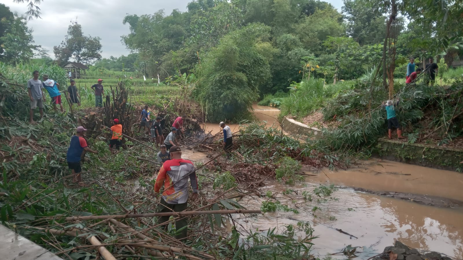 Warga Dusun Denokan, Kecamatan Polokarto, Sukoharjo bersihkan barongan bambu yang roboh mengancam kelestarian Sendang Wicaksono, Minggu (11/1).