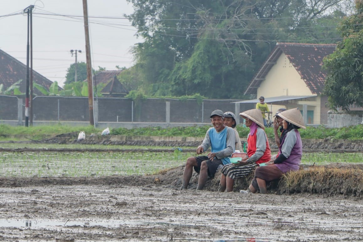 Petani beristirahat di sela menggarap lahan di Kecamatan Polanharjo, Klaten. Para petani berpotensi tinggi terkena leptospirosis jika tanpa menggunakan alat pelindung diri saat bekerja.