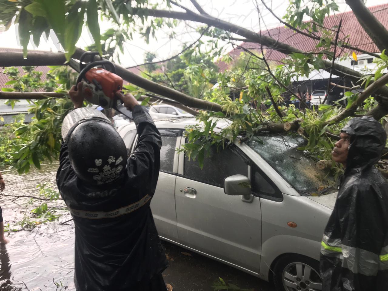 Masyarakat Boyolali diimbau waspada dengan kerawanan pohon tumbang di puncak musim hujan.