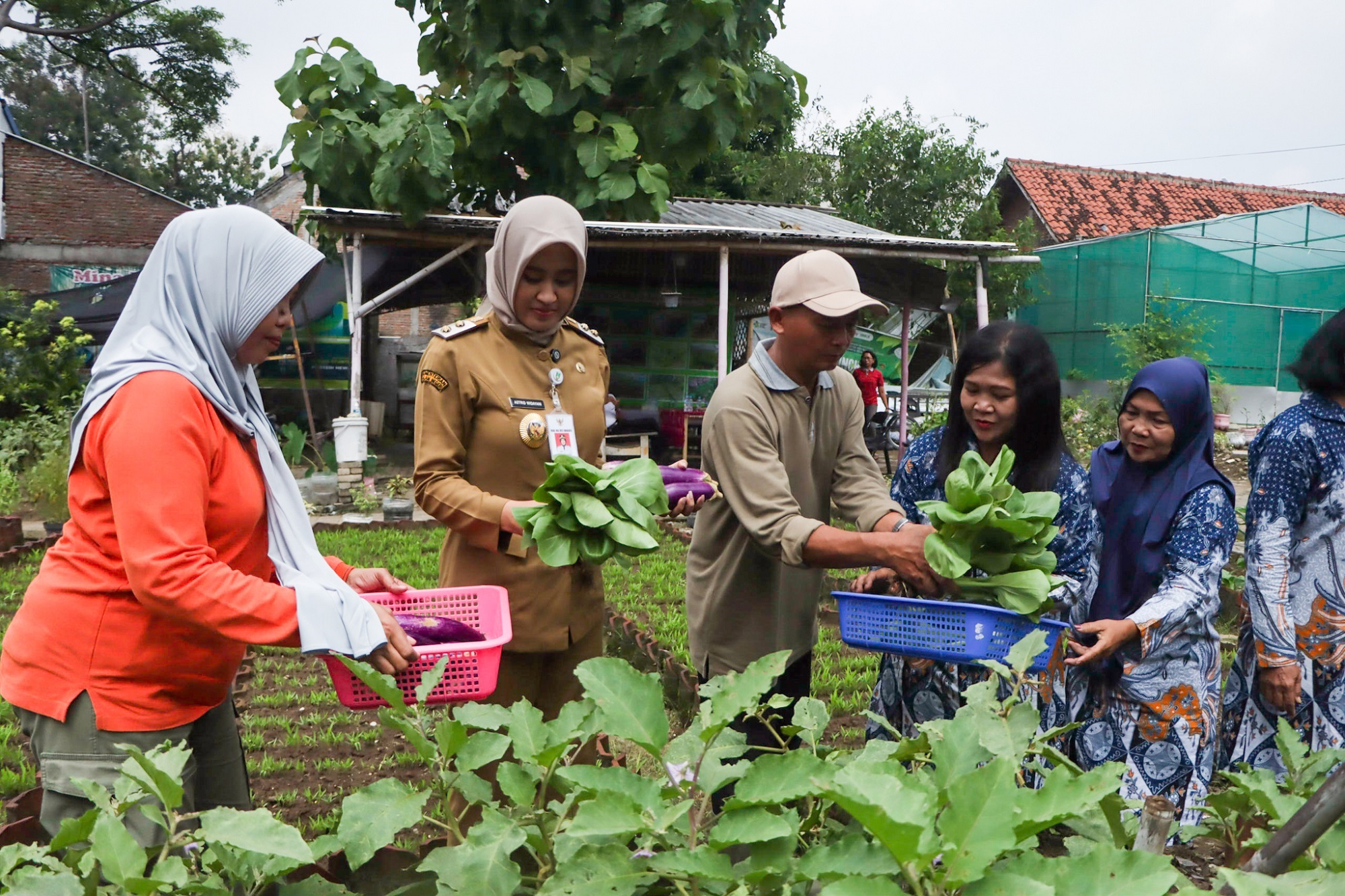 Kelompok Tani (Poktan) Sumber Berkah di Kelurahan Joglo, Banjarsari. (M Ihsan/Radar Solo)
