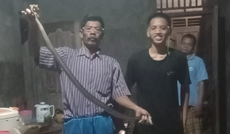 Relawan Exalos Indonesia Regional Klaten evakuasi kobra dari rumah warga Desa Baran, Kecamatan Cawas, Klaten. (Dokumentasi Pribadi)