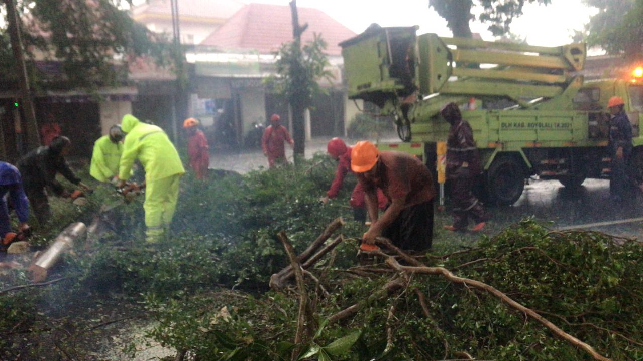 Petugas memangkas dahan pohon yang tumbang akibat puting beliung di Boyolali, Selasa (20/1/2026). Peristiwa serupa terjadi di sejumlah titik.