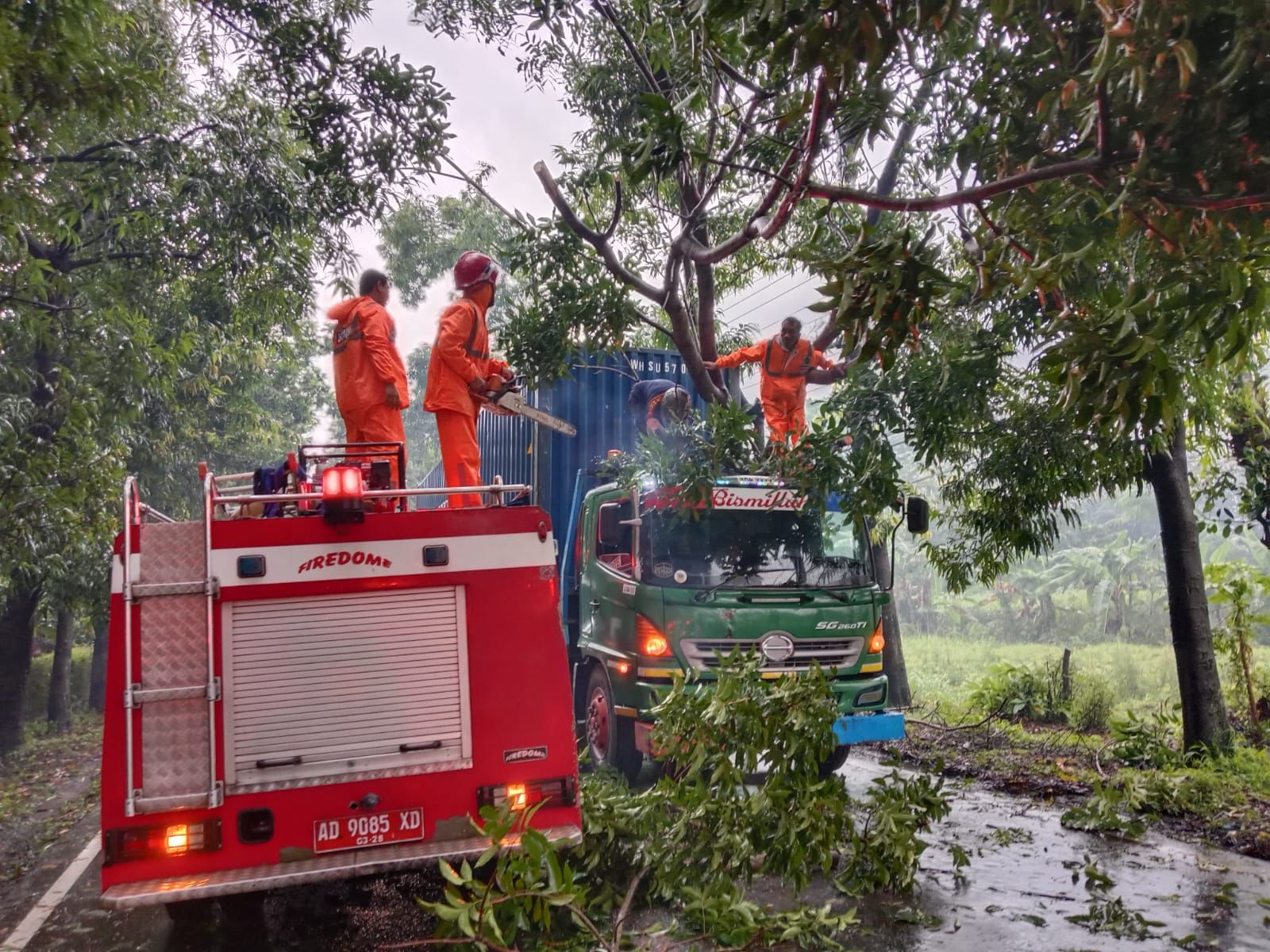 Pemangkasan dahan pohon tumbang dan menimpa truk trailer di Jalan Perintis Kemerdekaan, Boyolali, Selasa (20/1/2025).