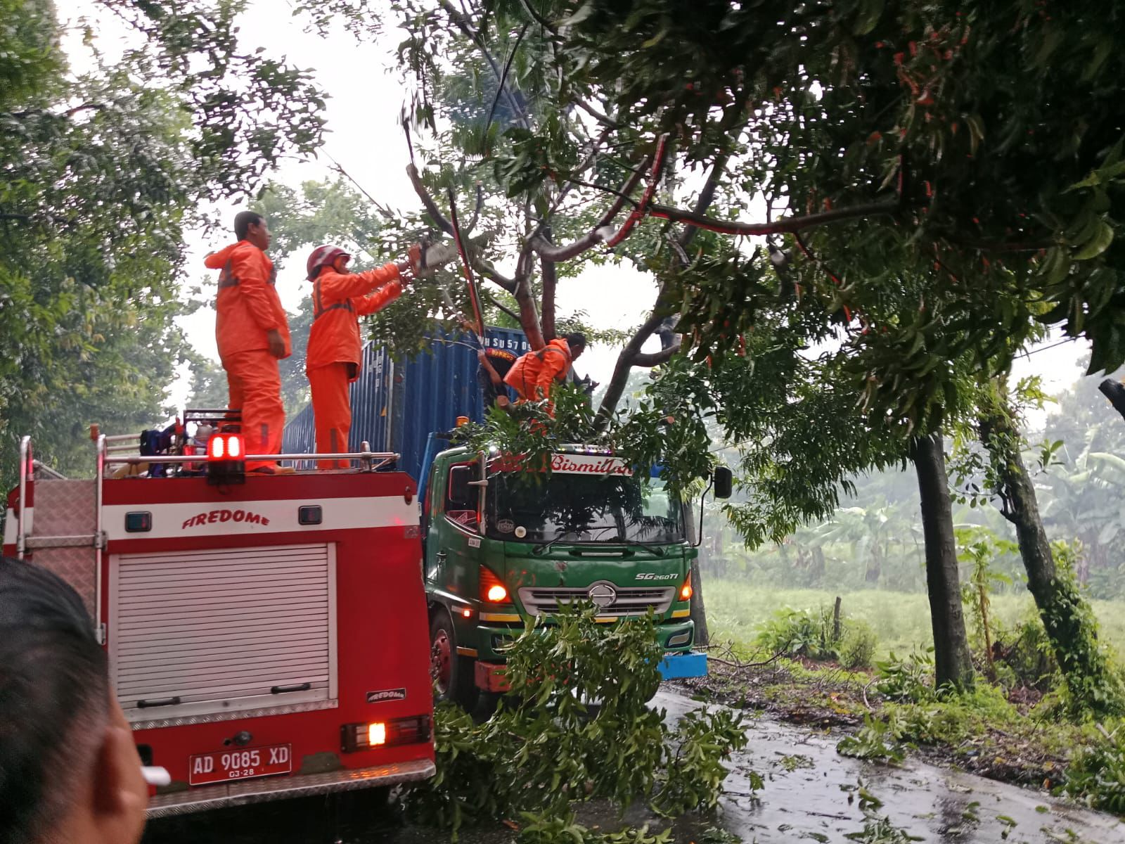 Evakuasi pohon tumbang yang menimpa truk trailer di Jalan Perintis Kemerdekaan, Boyolali, Selasa (20/1/2025).