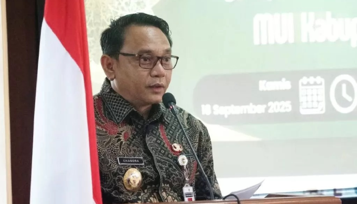 Plt Bupati&nbsp;Risma Ardhi Chandra.