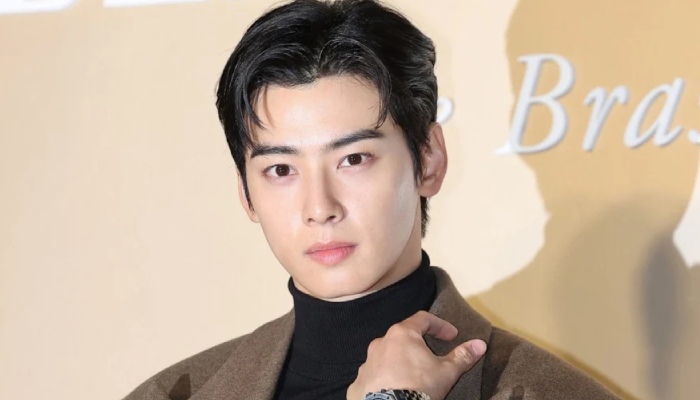 Cha Eun Woo.