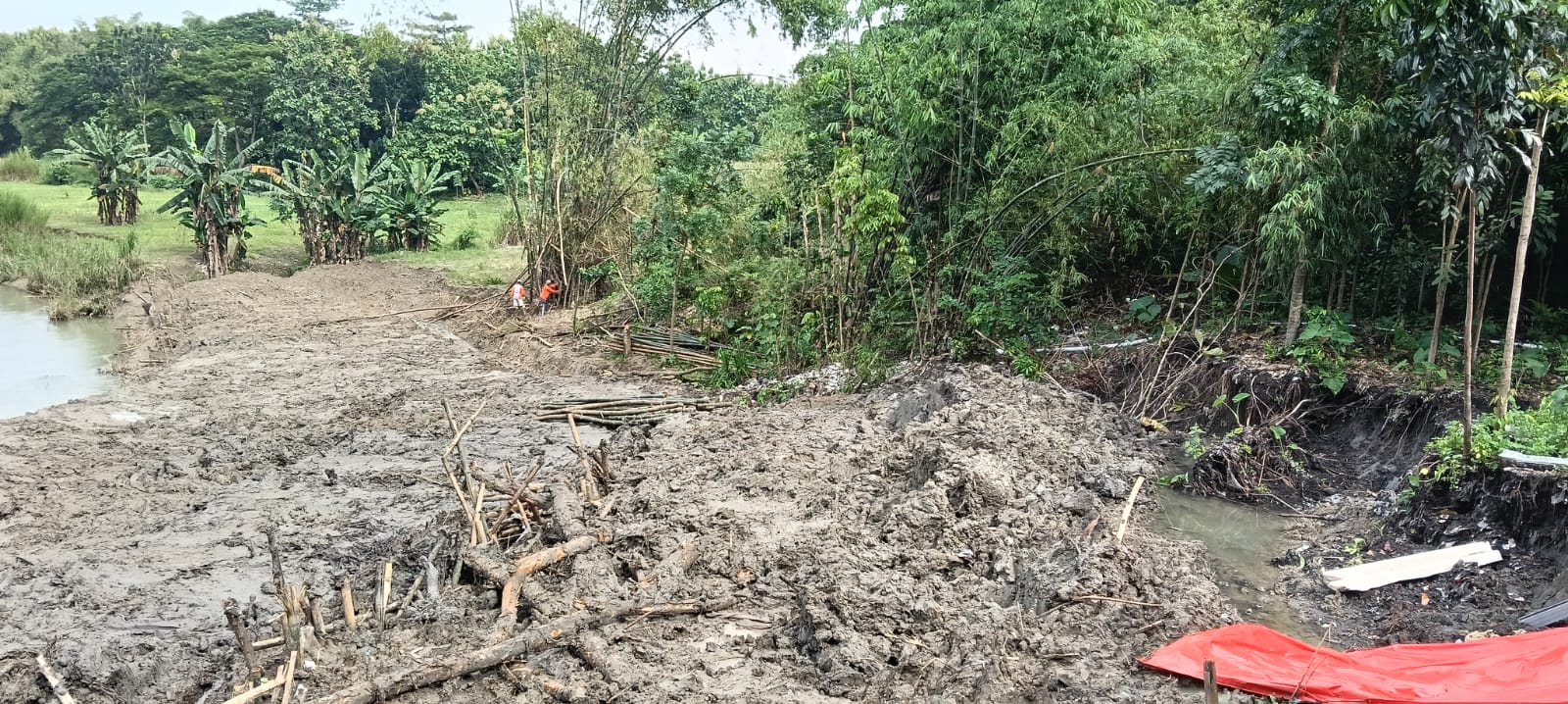 Kondisi longsor di Desa Majenang, Kecamatan Mondokan akibat tergerus sungai, Rabu (28/1/2026). (Ahmad Khairudin/Radar Solo)