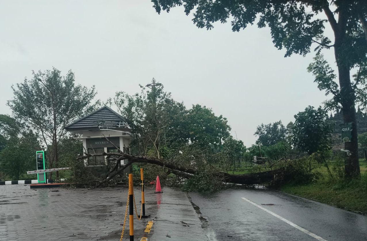 Proses penanganan terhadap pos jaga Candi Plaosan, Desa Bugisan, Kecamatan Prambanan, Klaten yang tertimpa pohon. (Dokumentasi Polsek Prambanan)