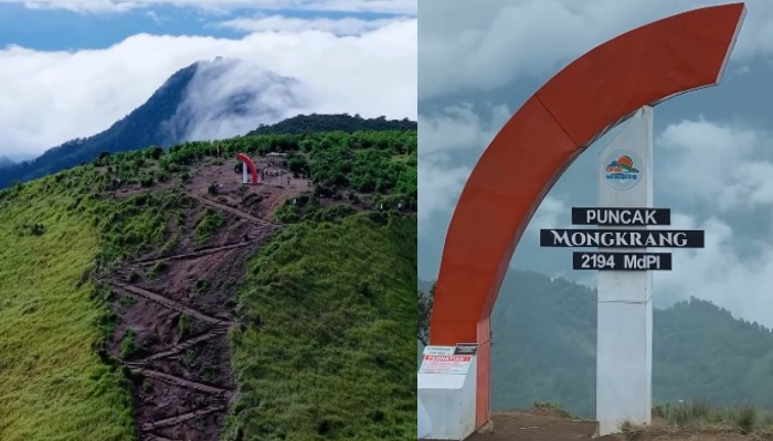 Jaur pendakian Bukit Mongkrang hingga puncak.