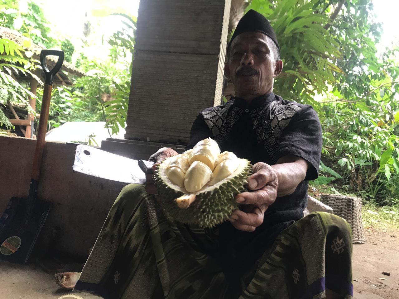 Durian dari Kecamatan Tamansari, Boyolali yang tetap manis di musim penghujan.