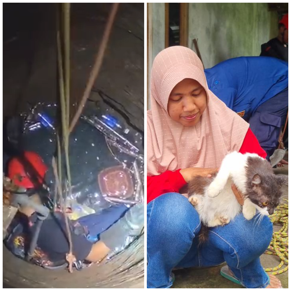 Damkar Boyolali evakuasi kucing di sumur sedalam 15 meter. Foto kanan, kondisi kucing setelah dievakuasi.