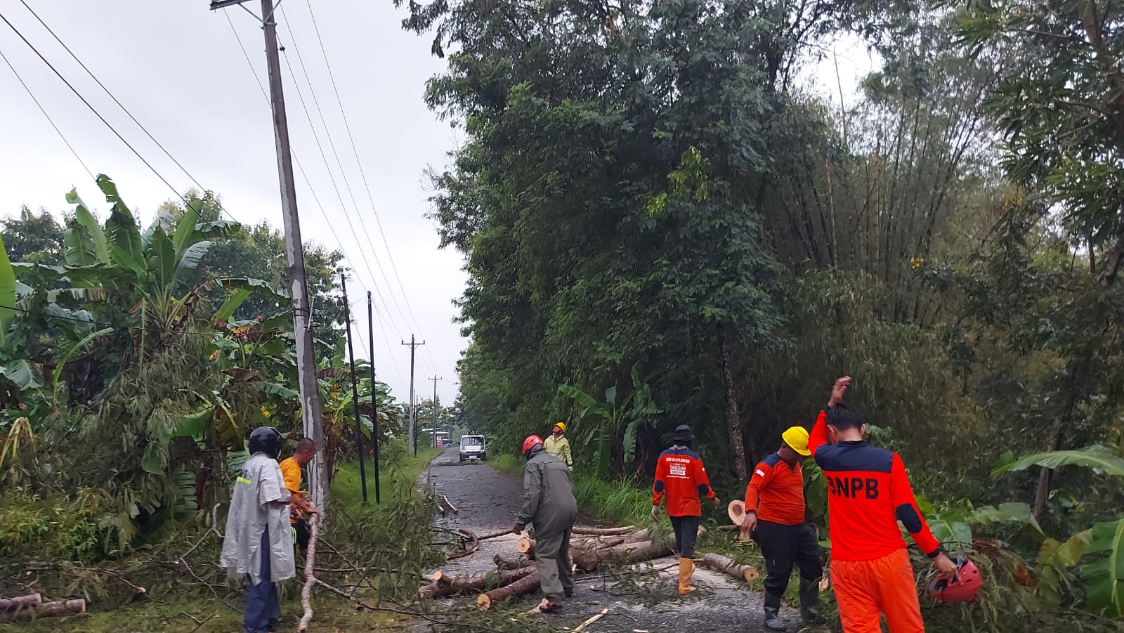 Evakuasi pohon tumbang akibat angin kencang di Wonogiri belum lama ini.