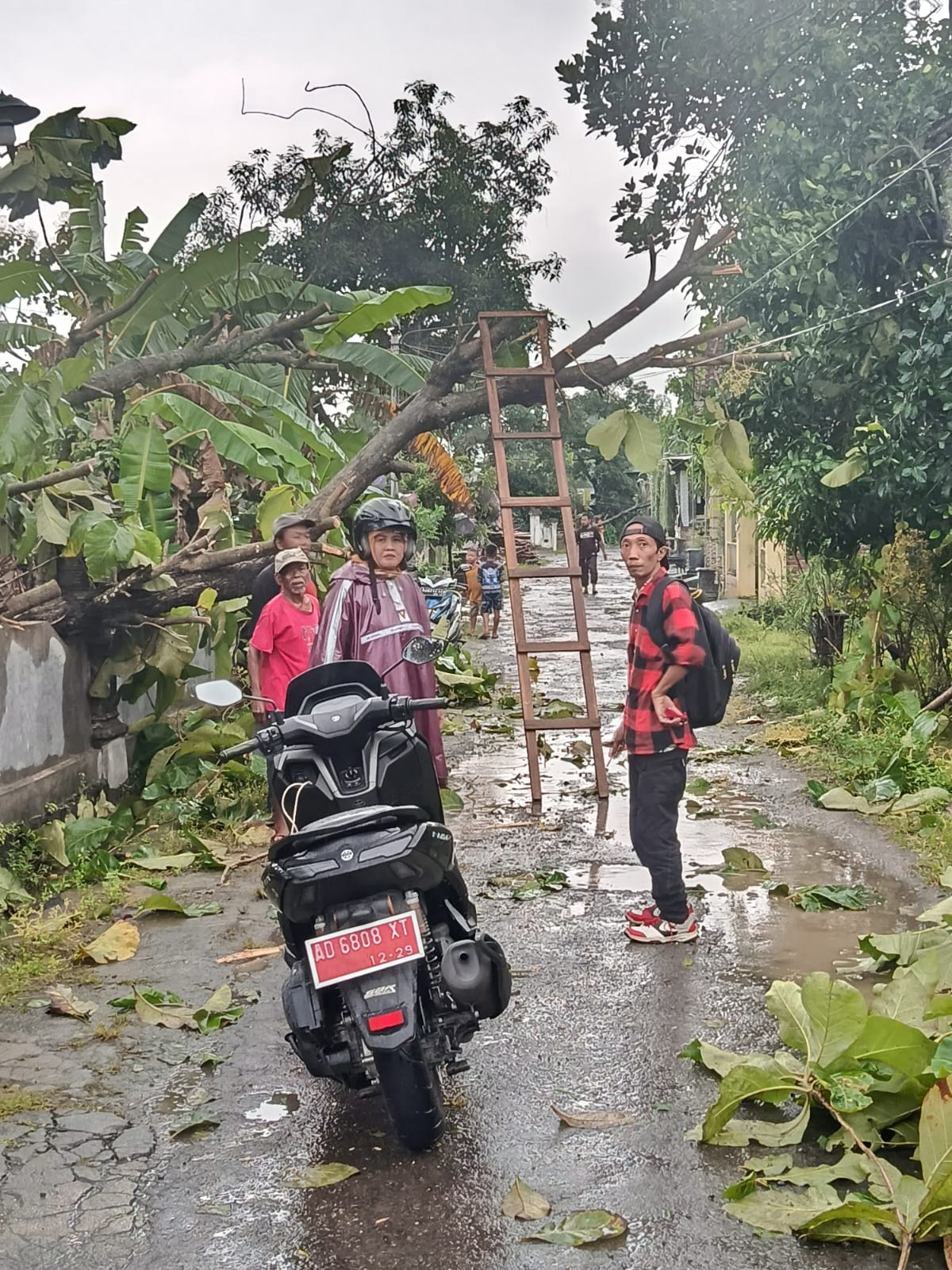 Pohon tumbang usai disapu angin kencang menutup akses jalan di Kabupaten Sukoharjo, Senin siang (9/2).