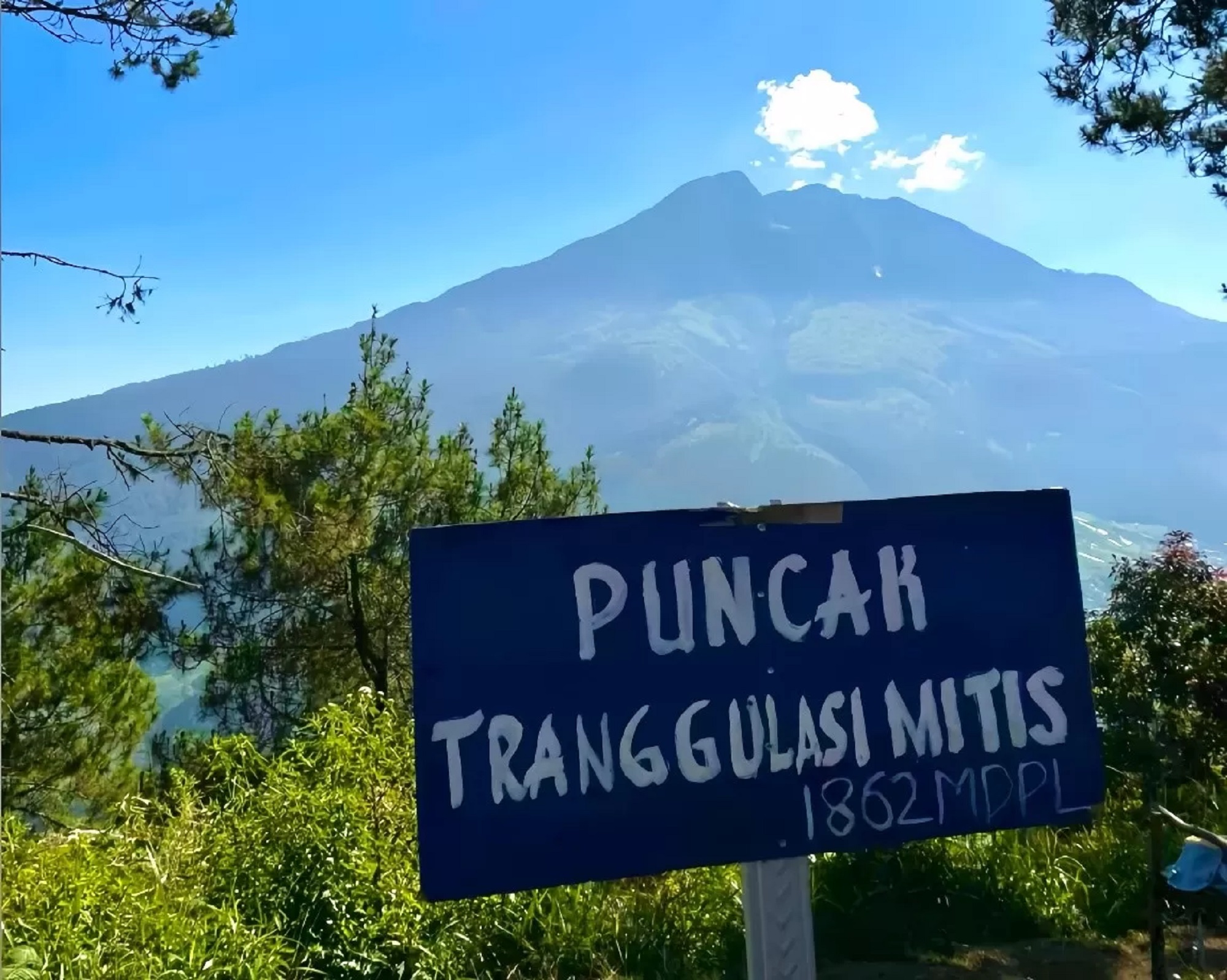Puncak Bukit Mitis, Dawuhan, Desa Blumbang, Kecamatan Tawangmangu, Karanganyar. (TikTok @cheesefav._)