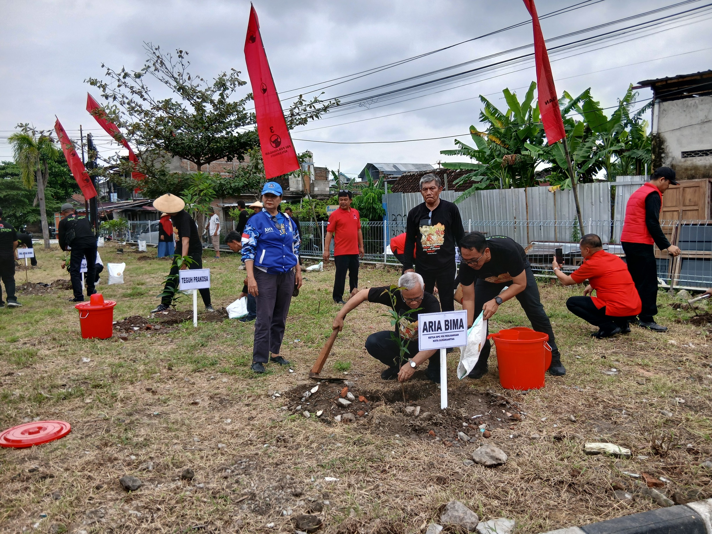 Ketua DPC PDIP Kota Surakarta Aria Bima tengah menanam pohon dalam acara Gerakan Tanam 1001 Pohon di lahan depan Mako Brimod, Mojo, Kota Solo, Minggu (15/2/2026).